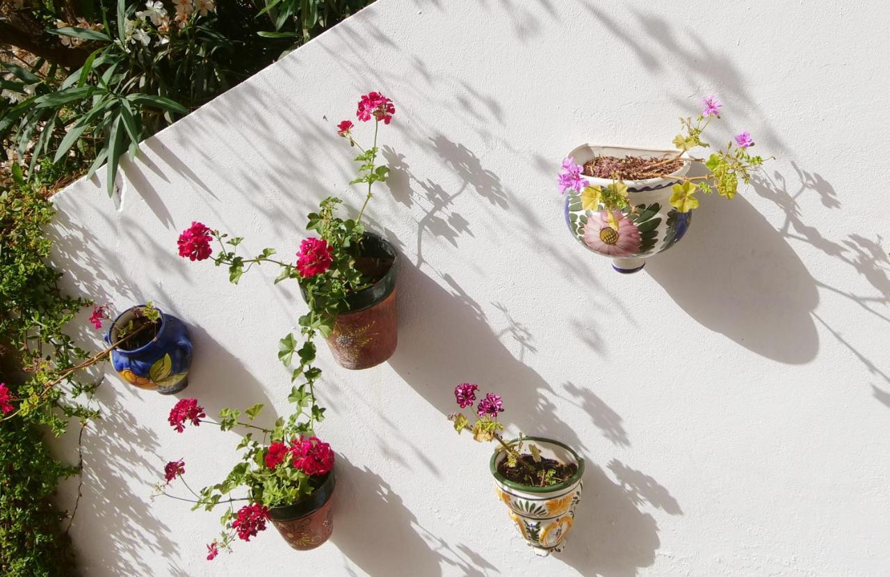 Alcaucín Casa Estrella De Salia Bed & Breakfast エクステリア 写真